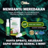 MINT THERAPY