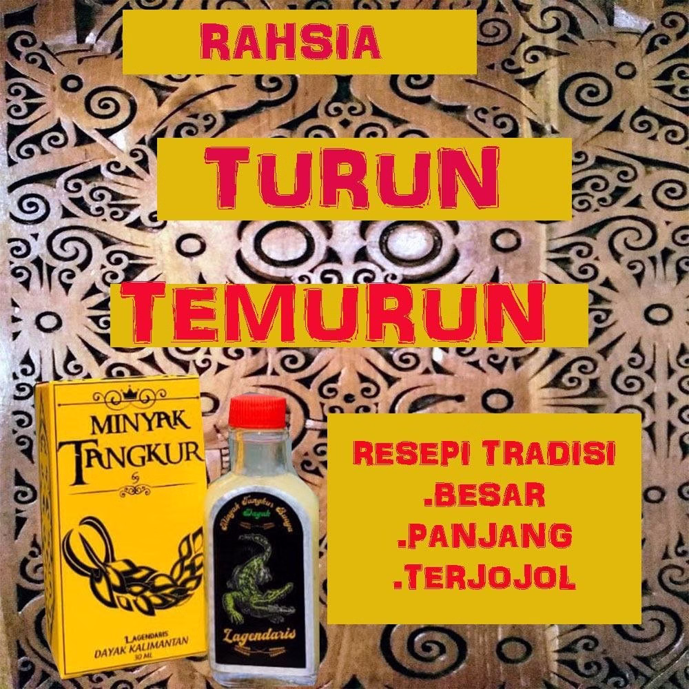 minyak tangkur buaya asli