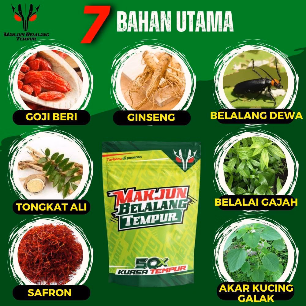 Bahan Makjun Belalang Tempur Original HQ